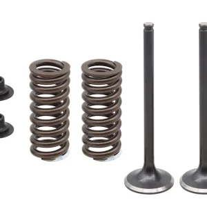 Originální PSYCHIC výfukové ventily (sada s pružinami a podložkami) HONDA CRF 250R 16-17 ocel (14721-KRN-B10)