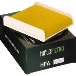 Moderní Vzduchový filtr HIFLOFILTRO HFA2503 723.15.33