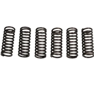 Přímo Od Výrobce JR EBS spojkové pružiny HONDA CRF 450R 02-03, CRF 450R 06-08 (6 kus)