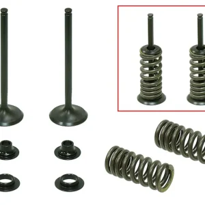 Ihned K Objednání PSYCHIC výfukové ventily (komplet 2 kusy. ventilů s pružinami a podložkami) HONDA CRF 250R 04-07, CRF 250X 04-15, ocel (MX-09502E) (26X4,96X82,1mm)