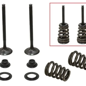 PSYCHIC výfukové ventily (komplet 2 kusy. ventilů s pružinami a podložkami) BETA RR 400 / 450 / 525 ENDURO 05-07, HUSABERG FE 450 / 550 / 650, FS 650 04-08, KTM SXS 450 / 540 závodní 03-04, EXC 450, SX 520 /525 00-07 (XU-09549E) (21,5X13,5X5,5mm Profesionální