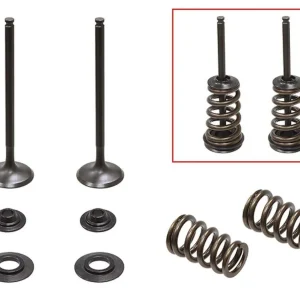 PSYCHIC výfukové ventily (komplet 2 kusy. ventilů s pružinami a podložkami) KTM SX-F / EXC-F 250 05-07 Poslední Šance