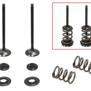 Doprava Zdarma PSYCHIC výfukové ventily (komplet 2 kusy. ventilů s pružinami a podložkami) HUSABERG FE 250 13, KTM EXCF 250 08-14 (MX-09551E)