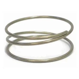 Pružinka záběru Ratchet EXP do ořechu DT SWISS Cenově Výhodný