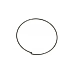 Pružinka do ořechu DT SWISS pro třípraporkové náboje Ihned K Objednání