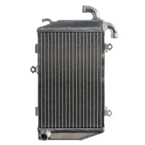 Trendový Chladič HONDA GL 1800 Gold Wing rok 06-17