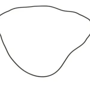 Těsnění víka spojky HONDA TRX 400 EX Sportrax rok 99-13 Pouze Dnes