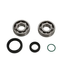 ALL BALLS ložiska klikové hřídele s těsnícími prvky GAS-GAS MC 50 24-25, HUSQVARNA TC 50 24-25, KTM SX 50 24-25, KOYO Nejlepší Cena