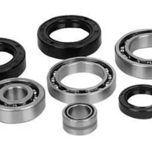 Vysoce Kvalitní ALL BALLS sada na opravu převodovky (TRANSAXLE) POLARIS RANGER 1000 20-21