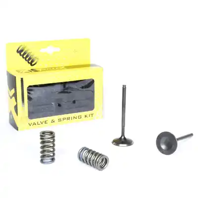 Poslední Šance PROX sací ventily /sada s pružinami/ HONDA CRF 250R 08-09