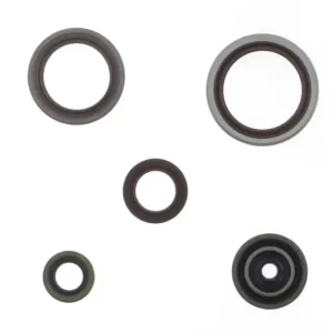 Exkluzivní ATHENA sada gufer motoru BETA RR 250 / 300 RR závodní 13-26 (nahrazuje P400060400011)