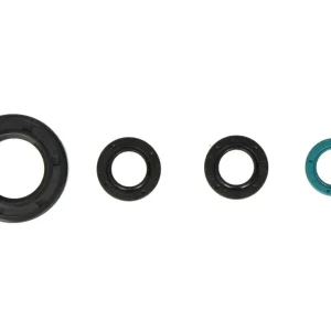 ATHENA sada gufer motoru HONDA CBR 125R 04-17 Hit Sezóny