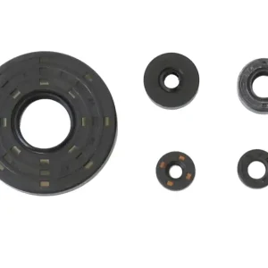 ATHENA sada gufer motoru HONDA VT 1100C 85-94, VT 1100C SHAdoW ACE 95-97 Přímo Od Výrobce