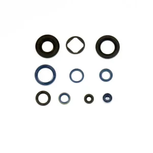 ATHENA sada gufer motoru CAGIVA MITO125`91-08, W8 125`91-97, SUPER CITY 125`91-98 Přímo Od Výrobce