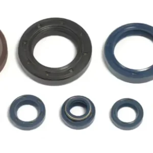 ATHENA sada gufer motoru HUSQVARNA CR/WR 125 95-96, WRE 125 93-96 Celosvětová Doprava