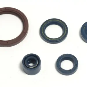 ATHENA sada gufer motoru HUSQVARNA TE 250 03-09, TE 310 09-10, TE 450/510 03-10, TC 250/310/450 Profesionální