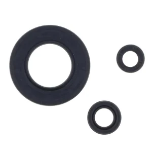 Poslední Šance ATHENA sada gufer motoru KAWASAKI ZX-10R NINJA 04-10