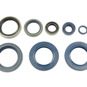 ATHENA sada gufer motoru KTM LC4 625/640/660`03-07 Must-Have