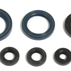 Expresní Doručení ATHENA sada gufer motoru KTM GS125`87-97, EGS125`95-97