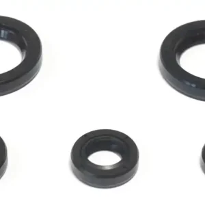 ATHENA sada gufer motoru KTM DUKE 125 11-16, DUKE 200 12-16, RC 200 15-16 Akční Cena