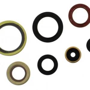 ATHENA sada gufer motoru GAS GAS EC 2T 250 / 300 21-26, KTM EXC 250 / 300 17-26, EXC 250 TPI 18-26, SX 250 17-26, HUSQVARNA TE 250 / 300 17-26 Finální Výprodej