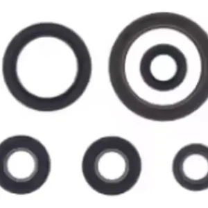 Originální ATHENA sada gufer motoru GAS GAS EC F 250 21-23, HUSQVARNA FE 250/350 20-23, KTM EXCF 250/350 20-23