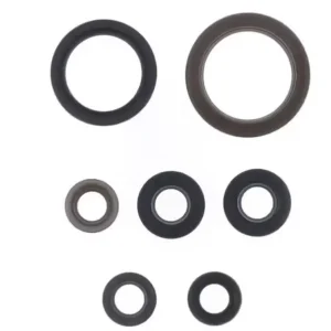 ATHENA sada gufer motoru GAS GAS MC 350F 24-25, EC 350F 24-25, HUSQVARNA FC/FX 350 23-25, FE 350 24-25, KTM SX-F/XC-F 350 23-25, EXCF 350 24-25 Velkoobchod