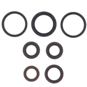 ATHENA sada gufer motoru PIAGGIO LIBERTY/X8/X9 125 4T 00-13, VESPA 125/150 00-13, SKIPPER 4T 125/150, APRILIA sport CITY / MOJITO 125 / 150 03-10, MOTARD 125 12-14, DERBI BOULEVARD / VARIANT 125/150/200 02-12 Nakupujte Hned