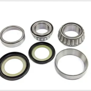 Trendový Opravná sada ložisek řízení All Balls HONDA VT 750 Shadow rok 98-12